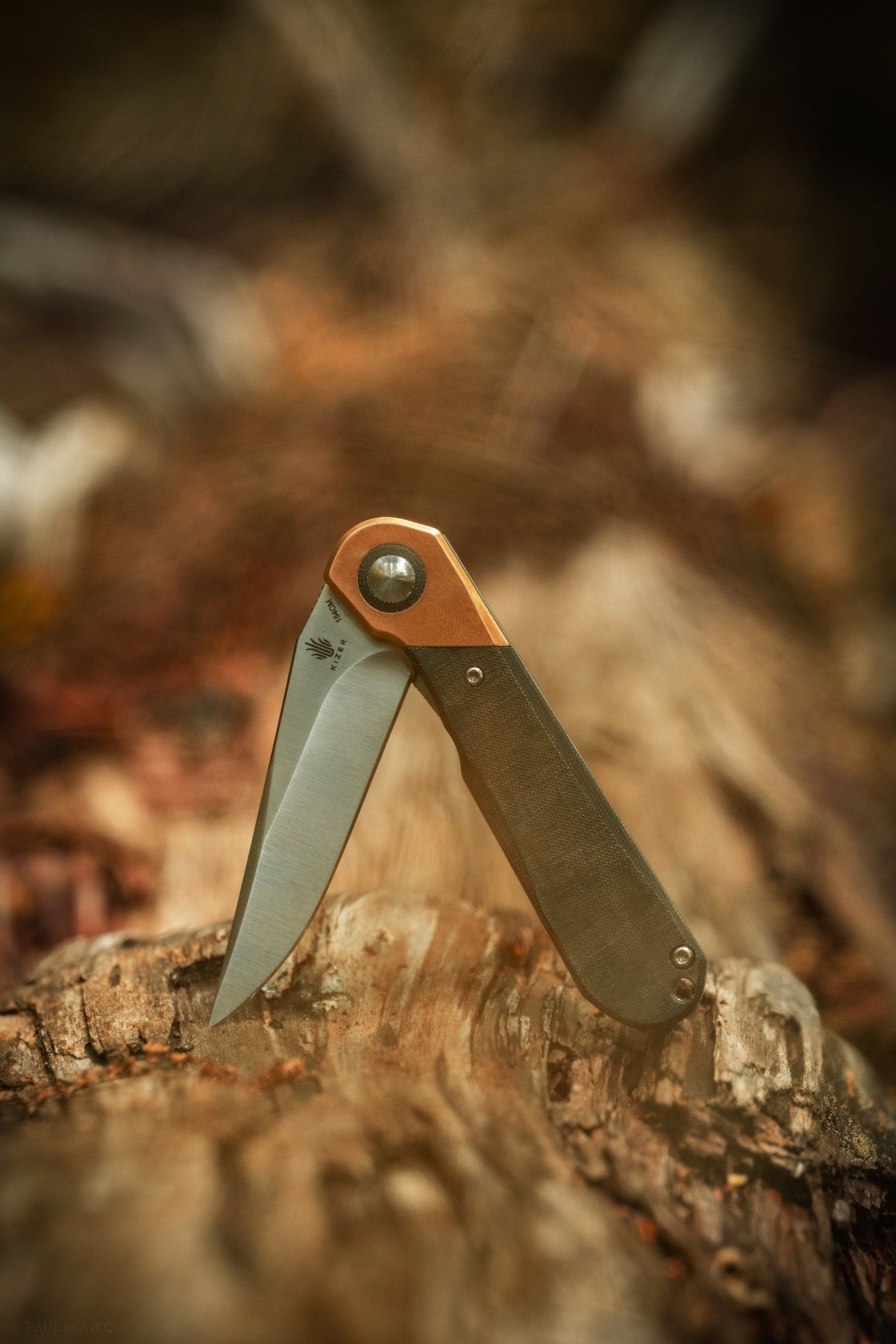 Kizer Comet in the sun