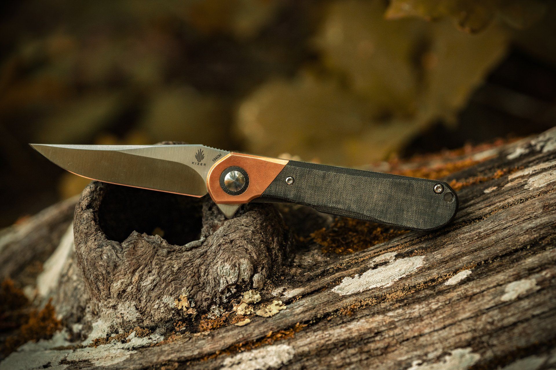 Kizer Comet on tree bark
