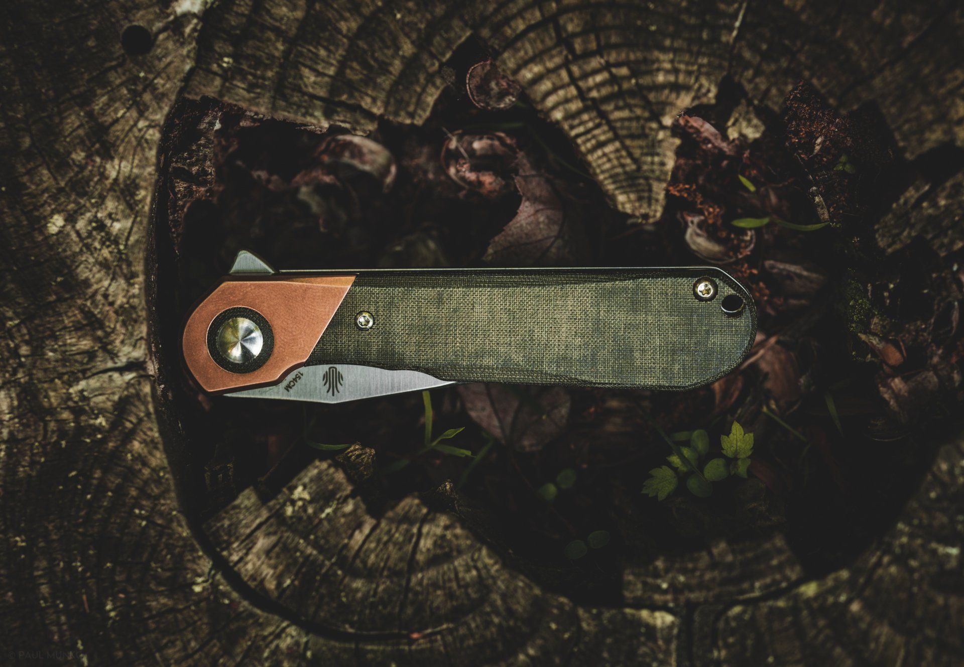 Kizer Comet placed in tree stump