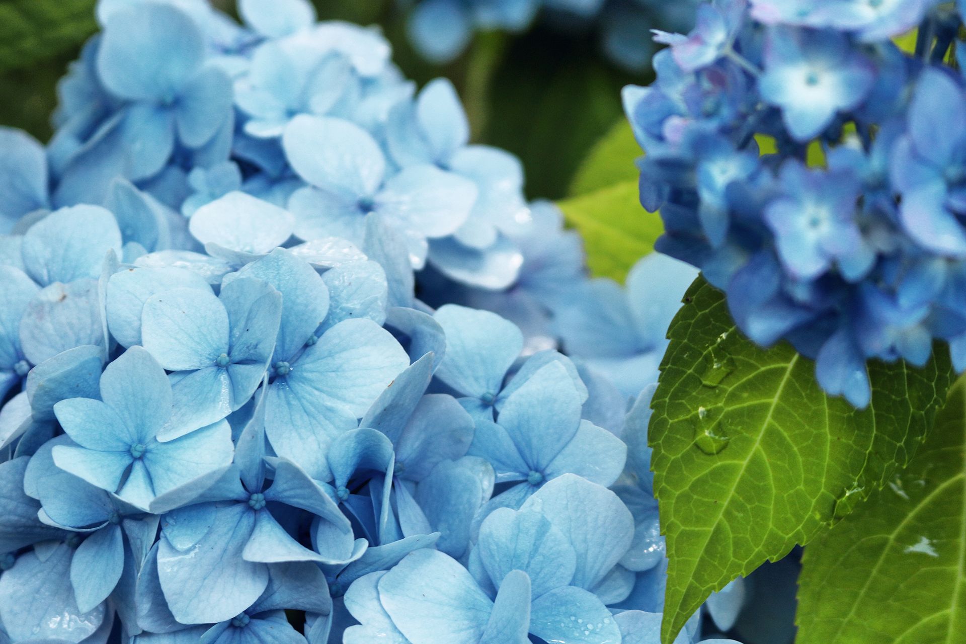 Joseph J. Stutz, Inc. Funeral Home