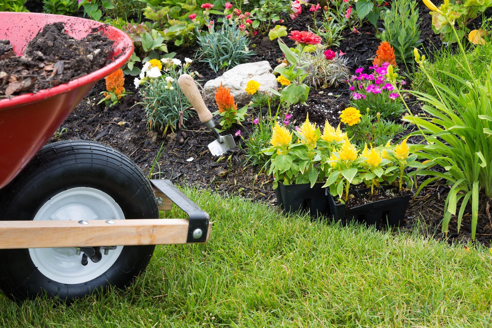 a wheelbarrow filled with dirt and flowers in a garden