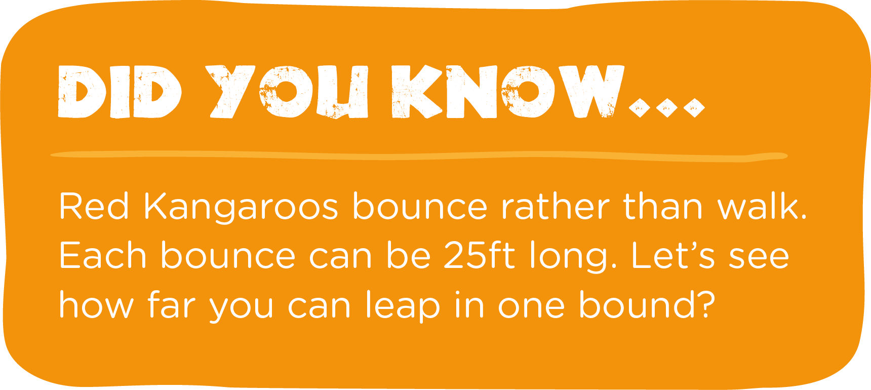 Adopt an Australian Red Kangaroo Auchingarrich Wildlife Park