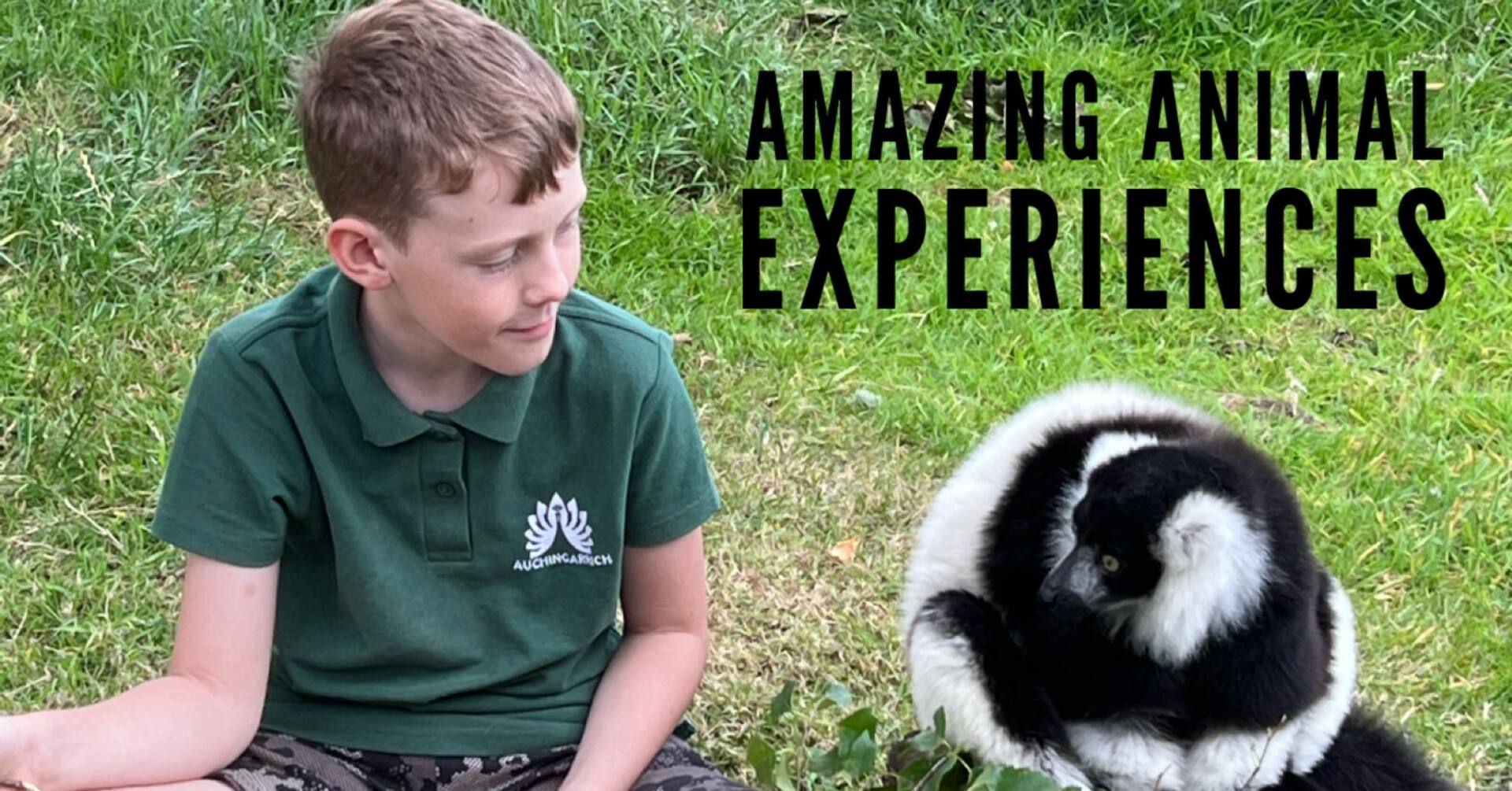 Auchingarrich Wildlife Park in Crieff