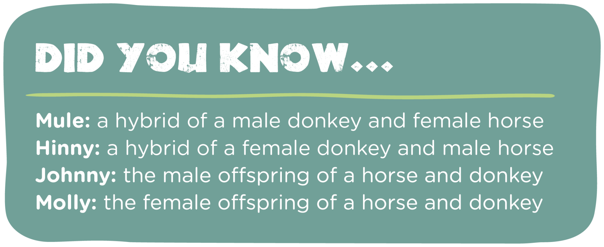 A green sign that says did you know mule is a hybrid of a male donkey and female horse.