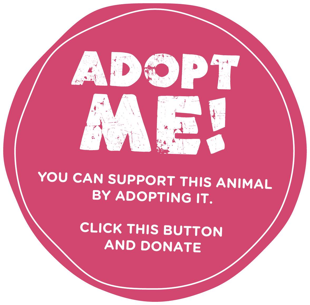 Adopt A Donkey Adopt A Donkey