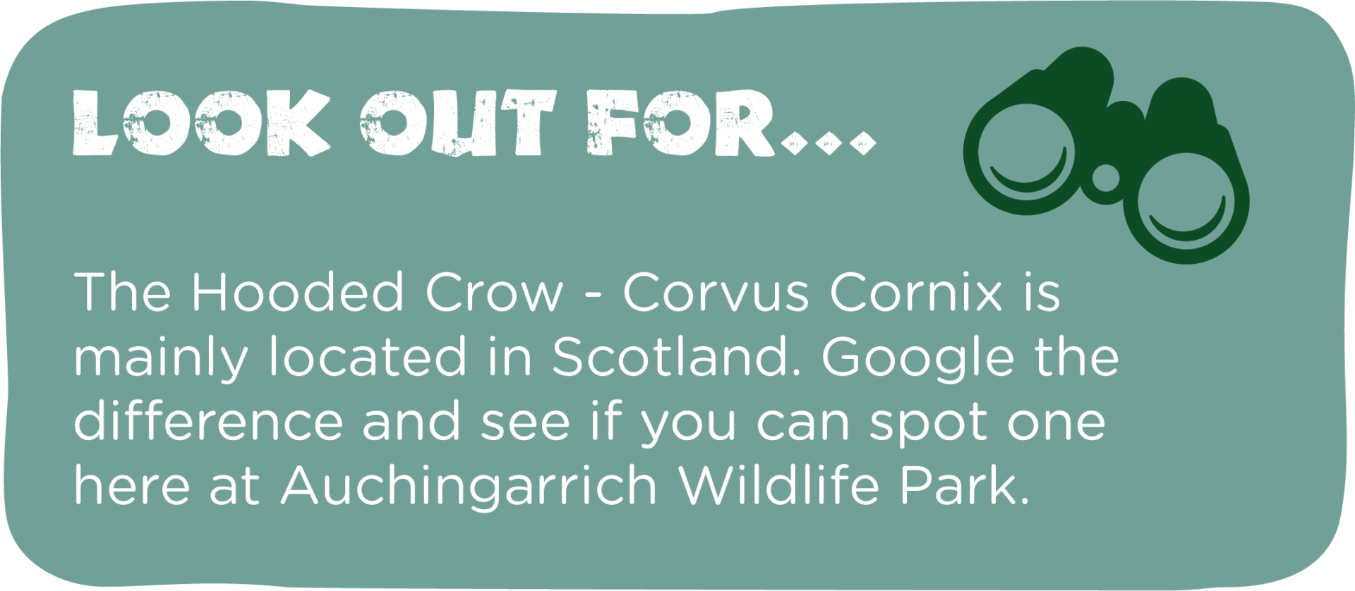 The hooded crow corvus corrix is mainly located in scotland.