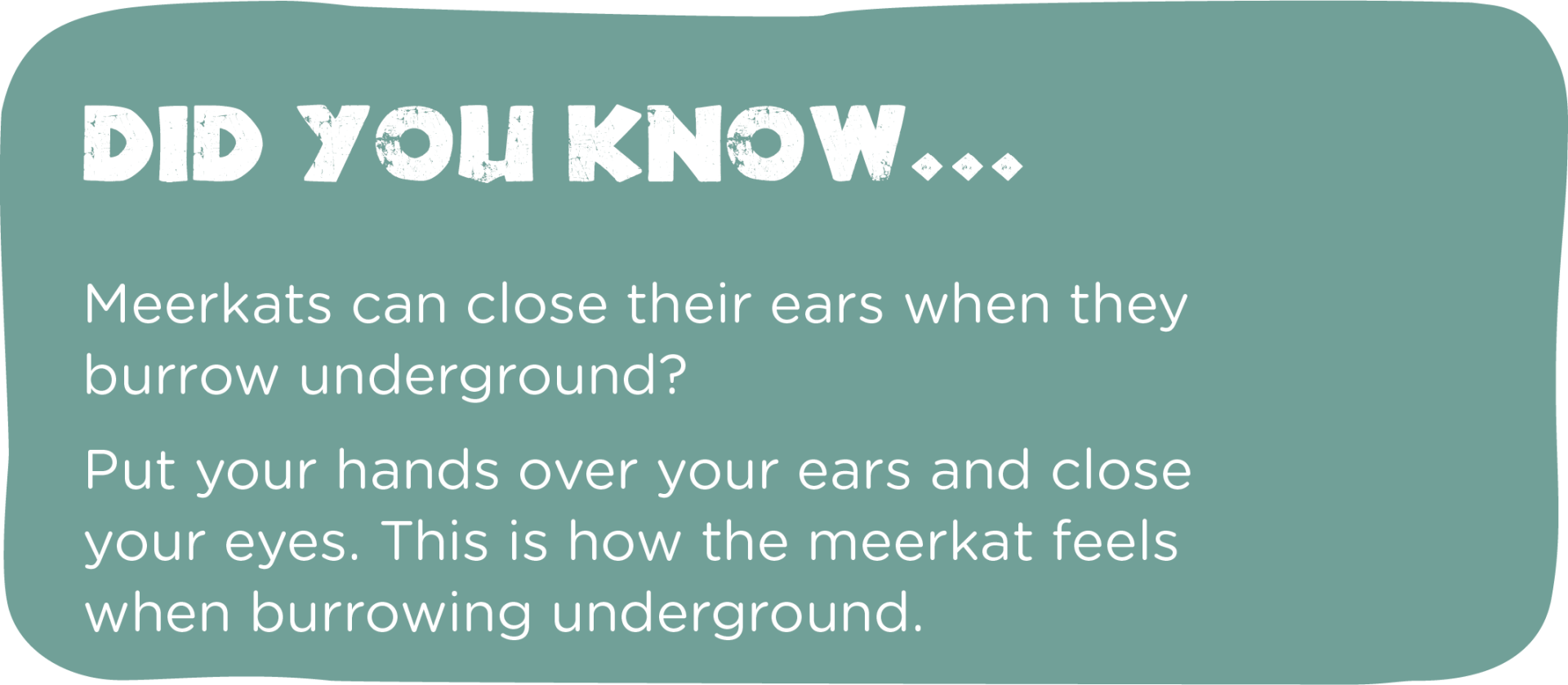 did you know flash