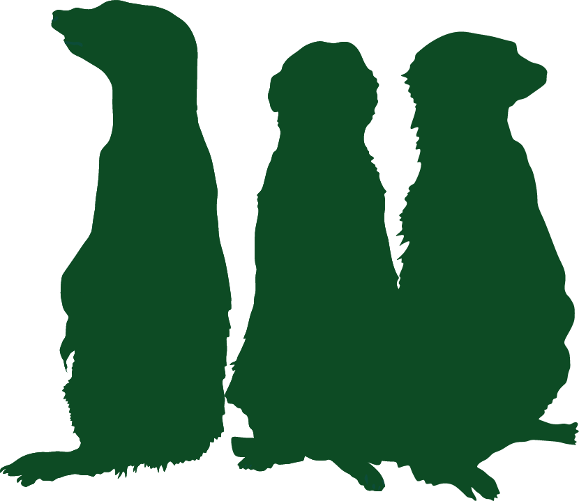 Three meerkats are silhouetted against a white background.