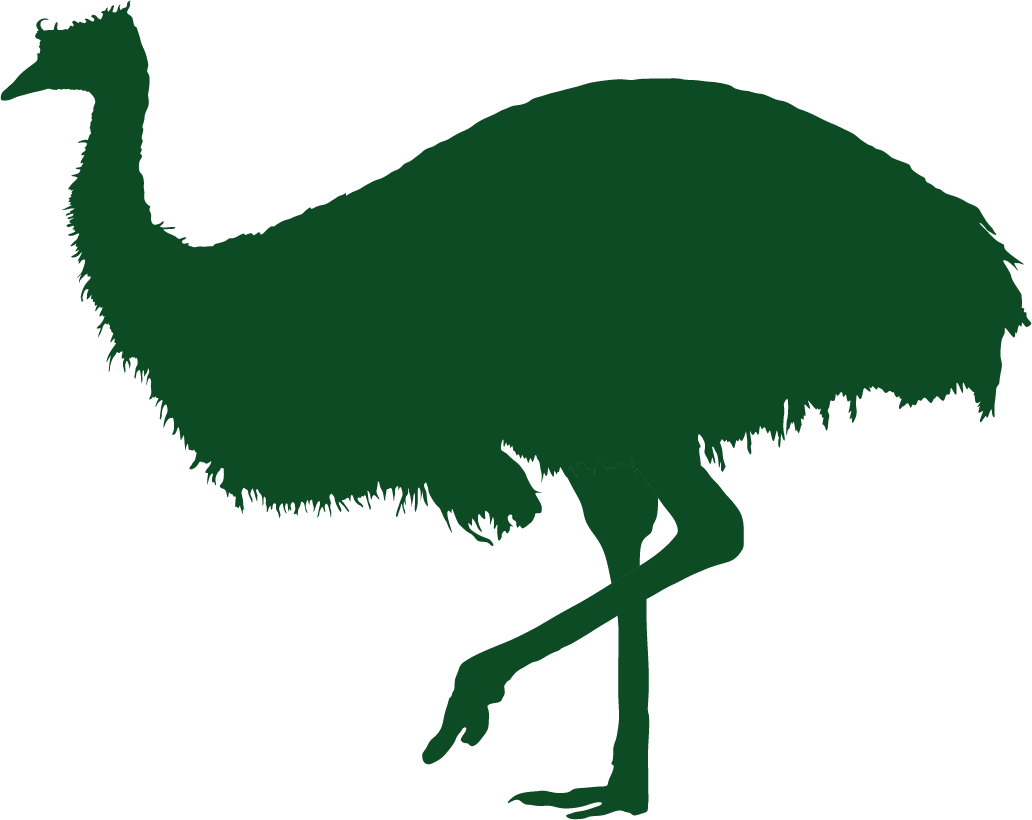 Crow Crow