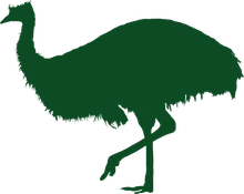 A green silhouette of an ostrich on a white background