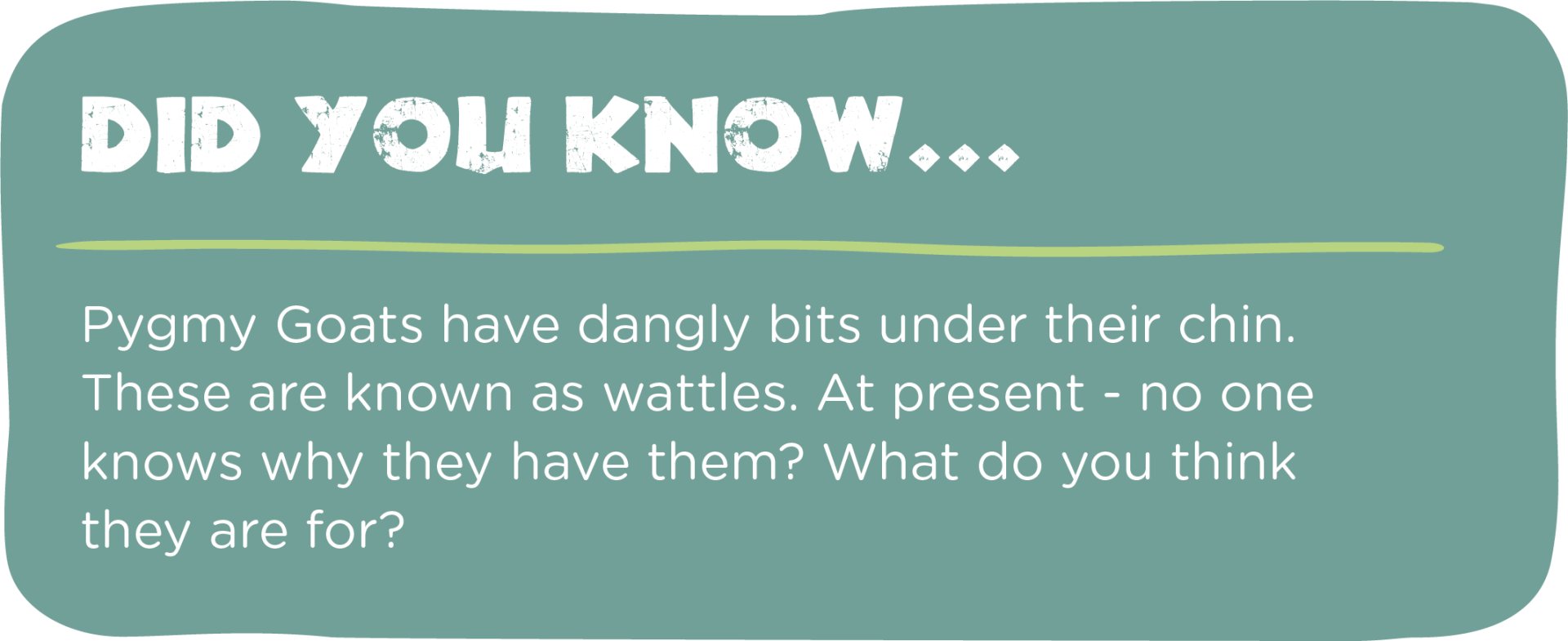 A green sign that says did you know pygmy goats have dangling bits under their chin.