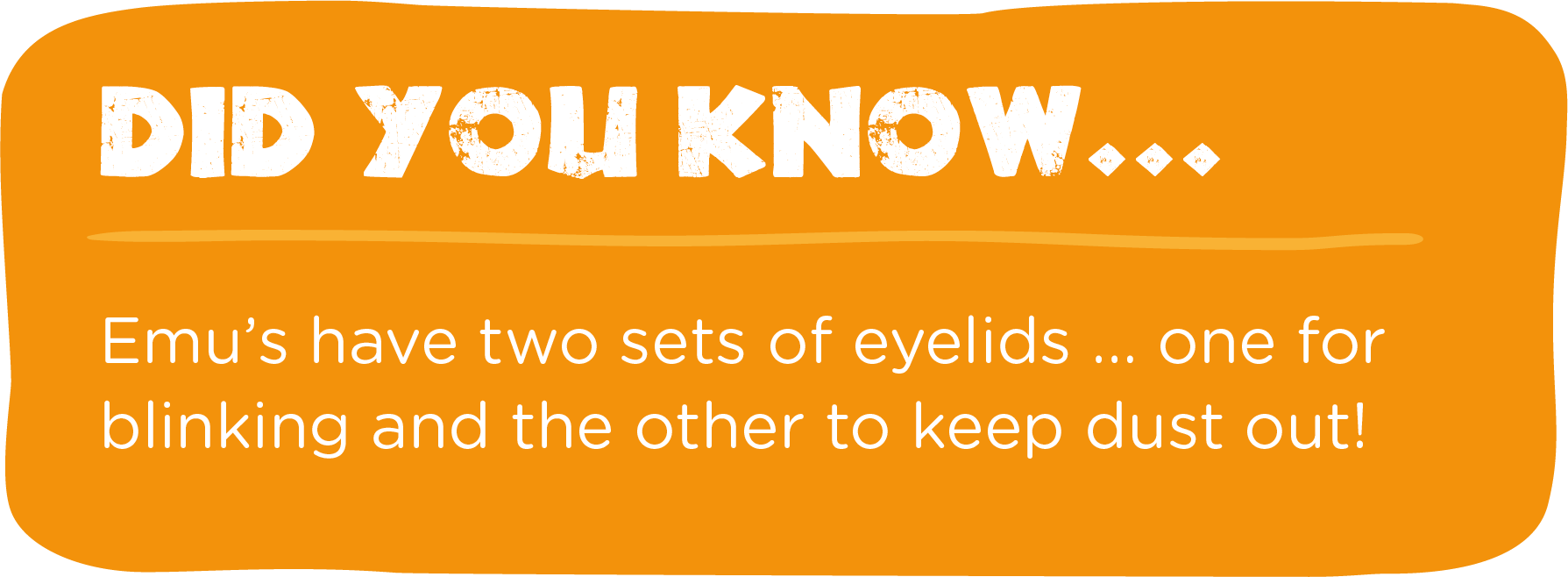 An orange sign that says did you know emu 's have two sets of eyelids one for blinking and the other to keep dust out