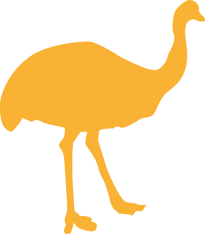 Crow Crow