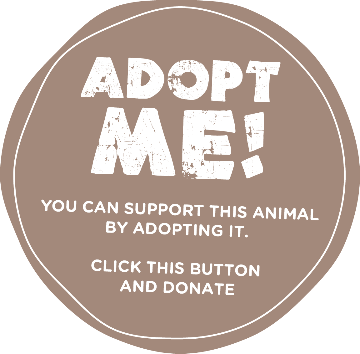 Adopt A Donkey