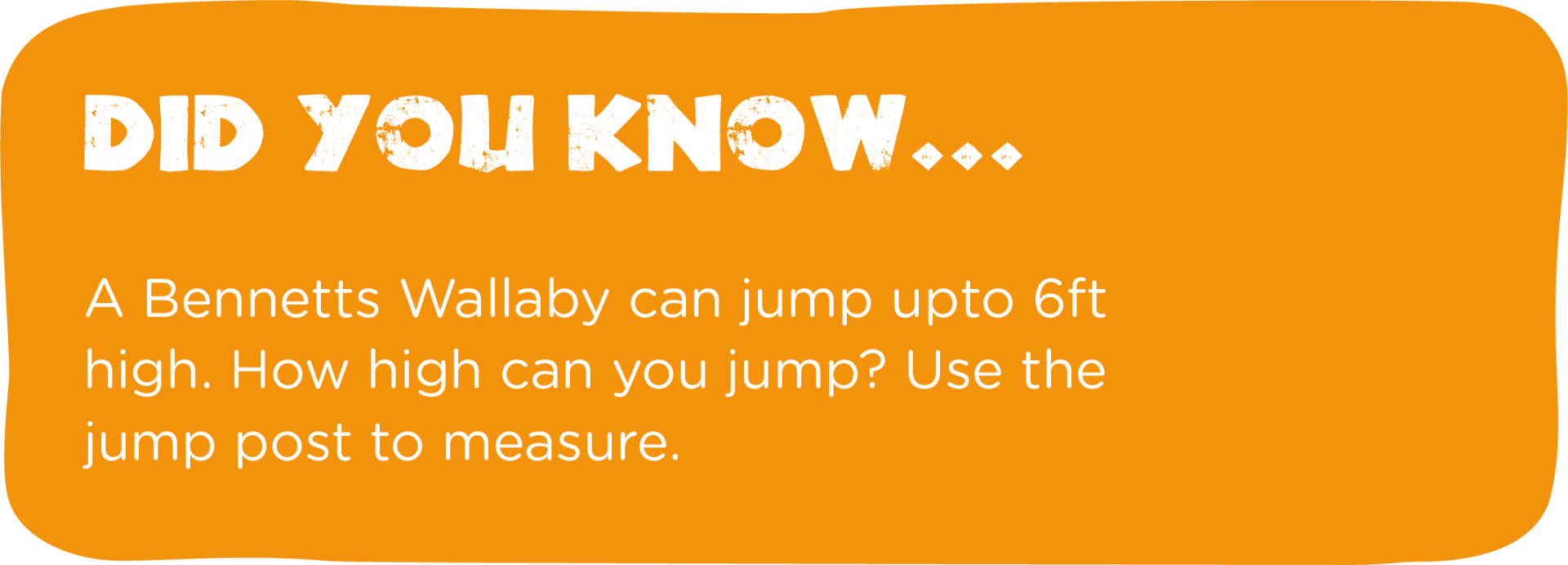 An orange sign that says did you know a bennetts wallaby can jump upto 6 ft high.