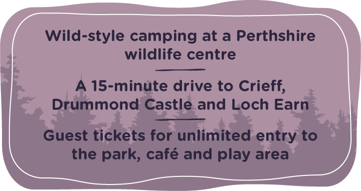 A purple sign that says wild-style camping at a perthshire wildlife centre