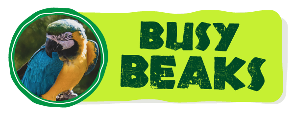 Busy Beaks Button