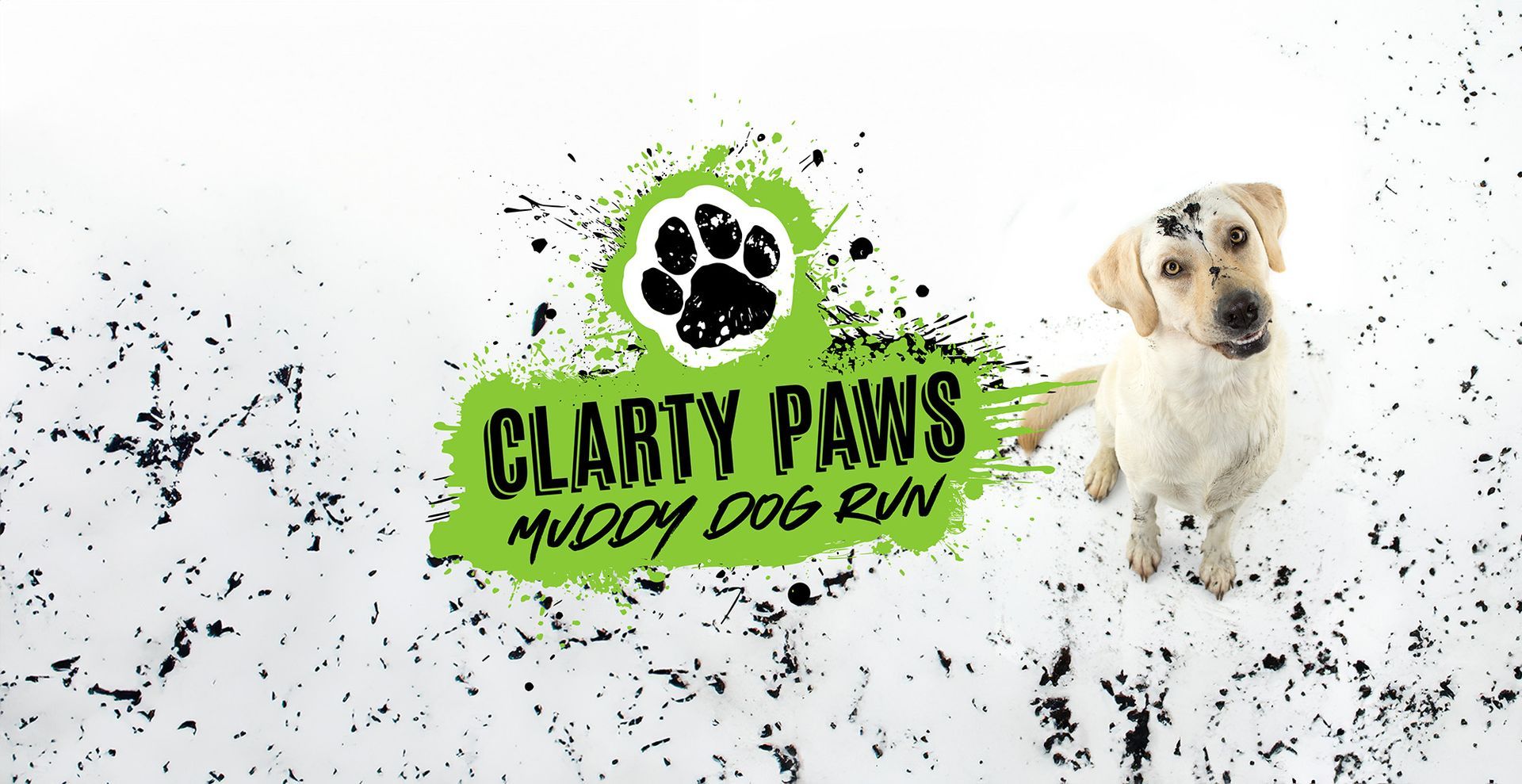 Clarty Paws
