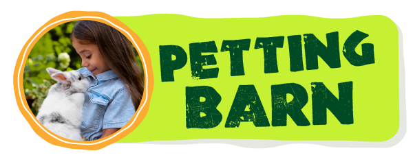 Petting Barn Button