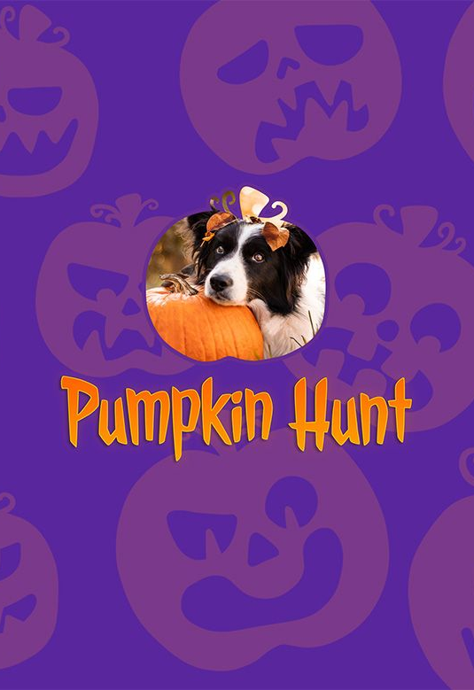 Pumpkin hunt