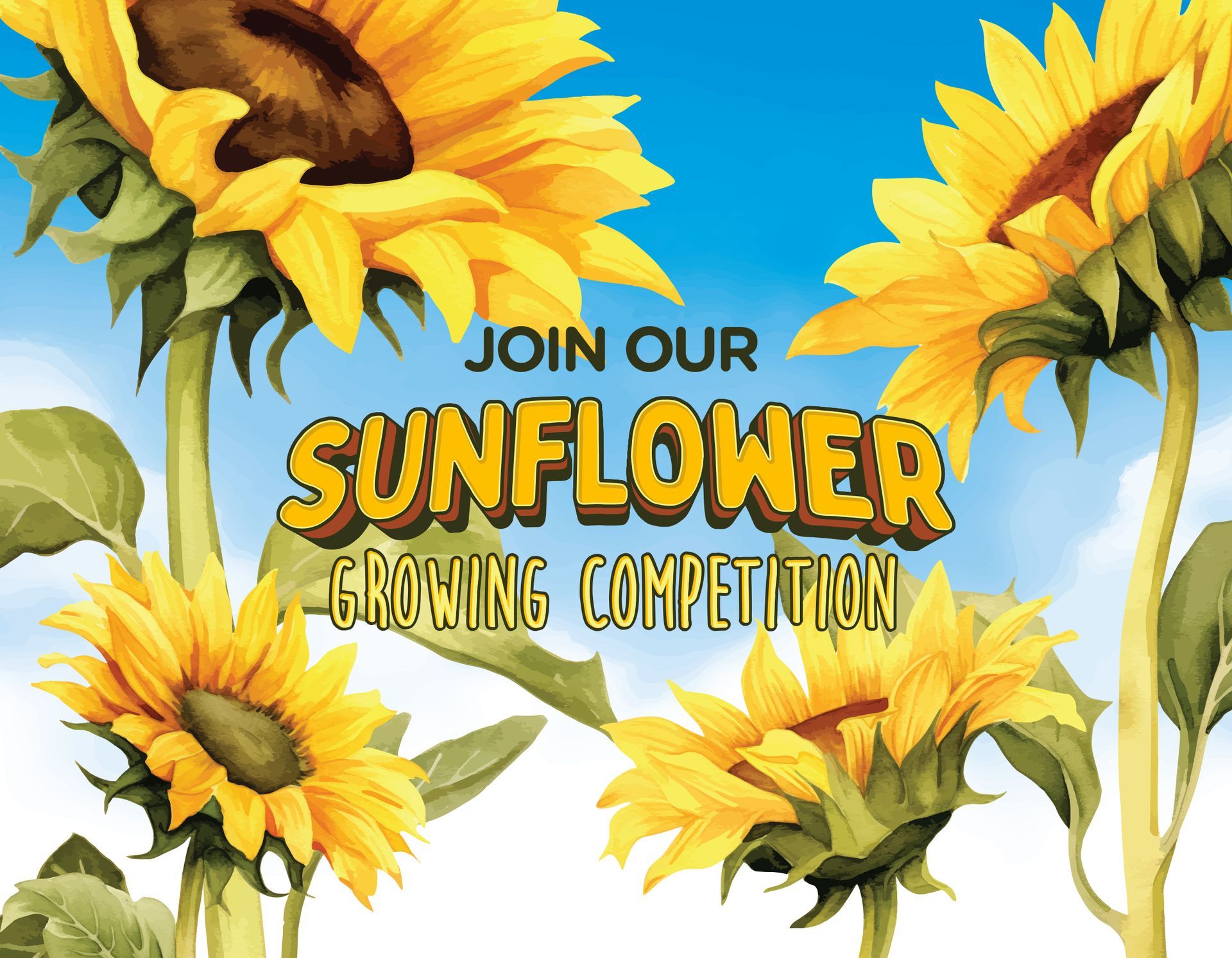 Sunflowers framing text: “Join our Sunflower Growing Competition”
