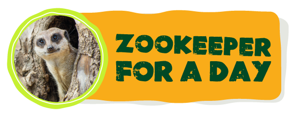 Zookeeper Button