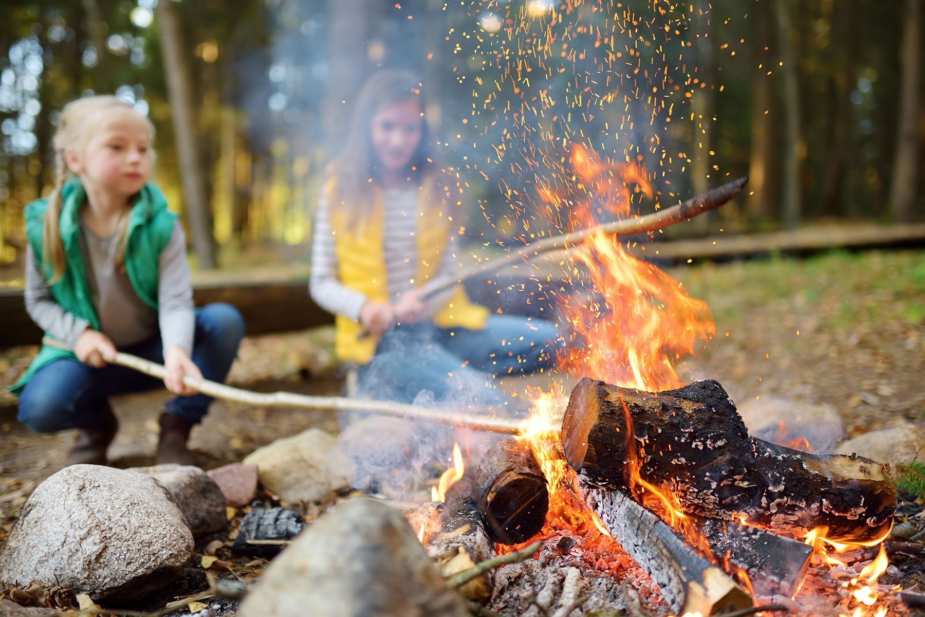Two children are roasting marshmallows over a campfire.