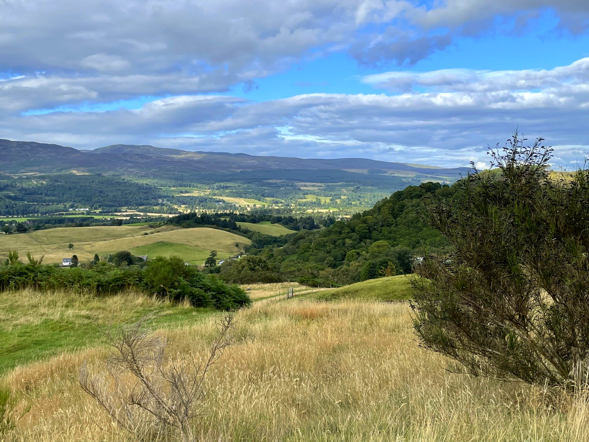 A view of a valley with mountains in the background and a field in the foreground.