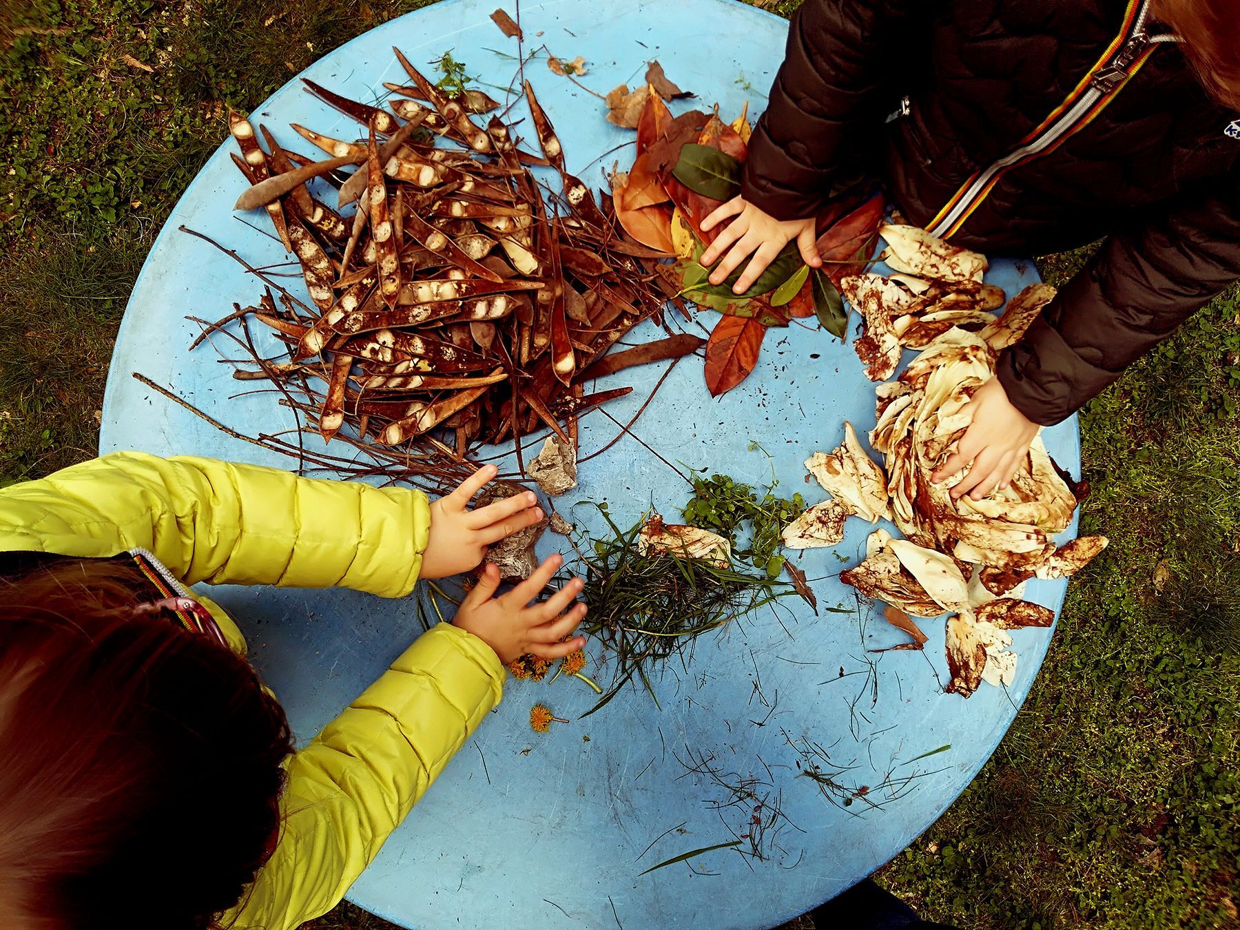 Two children are playing with branches and leaves on a blue table