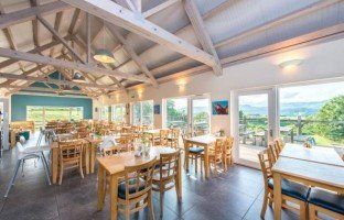 dizzy duck cafe
