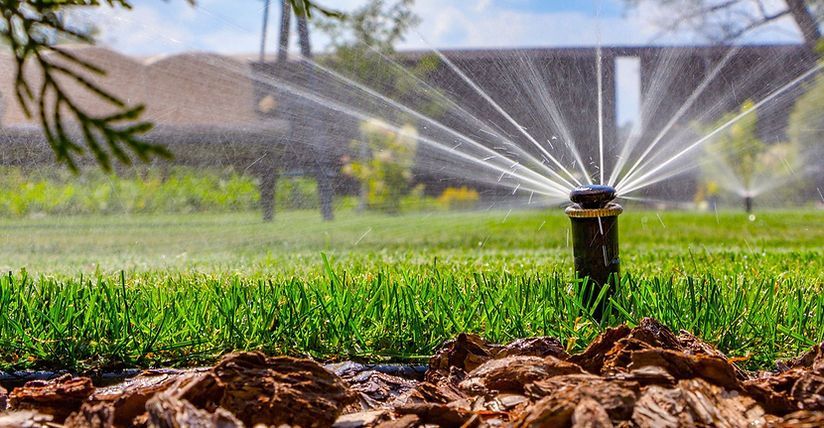 Sprinkler watering a green field, with water spraying over crops and soil in the foreground.