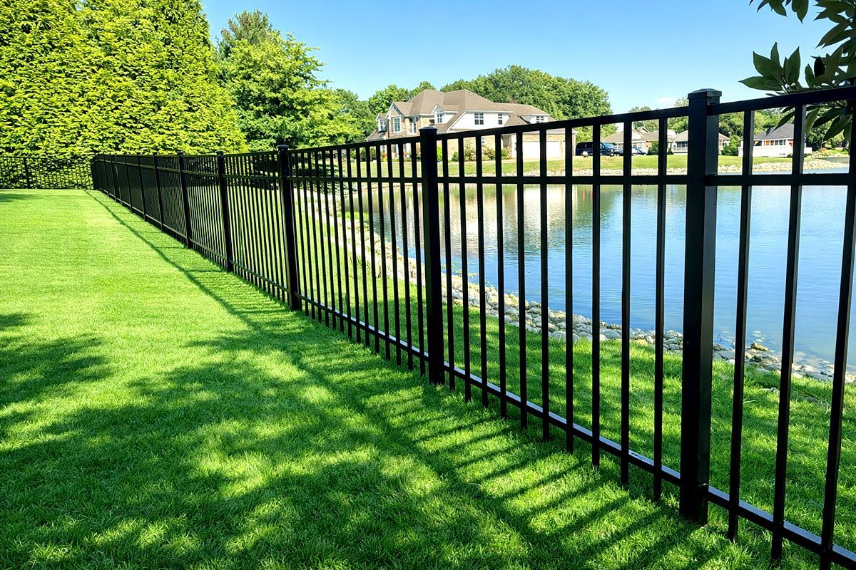 Black metal fence beside a bright green lawn and calm lakeside under trees