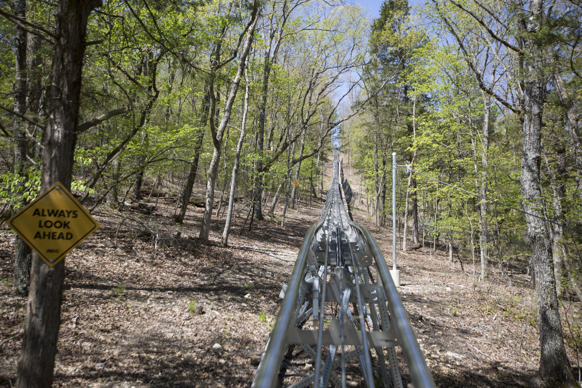 Coaster trail in the middle of the trees