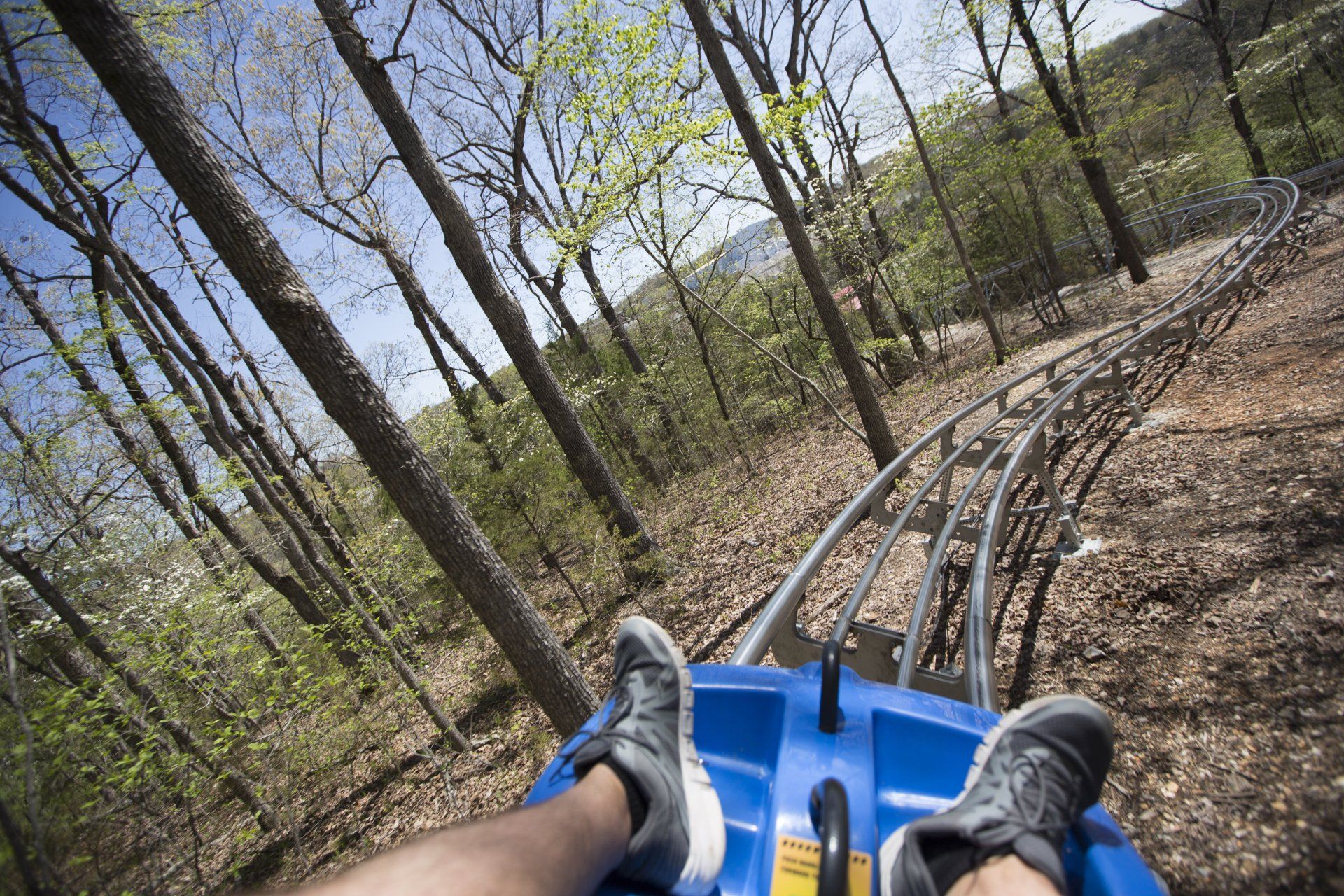 First-person view riding down a mountain coaster track through a forest during the day