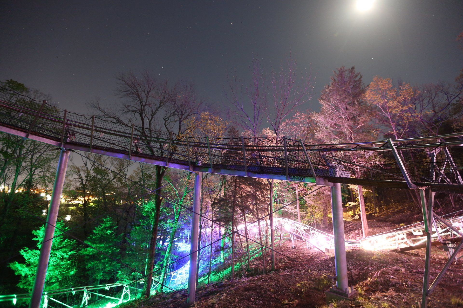 Nighttime view of a mountain coaster track lit by colorful lights, surrounded by glowing trees