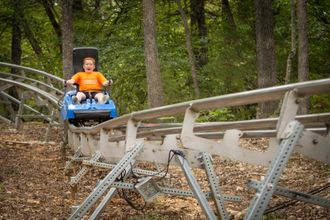 Child riding a mountain coaster cart on a curved steel track through the forest