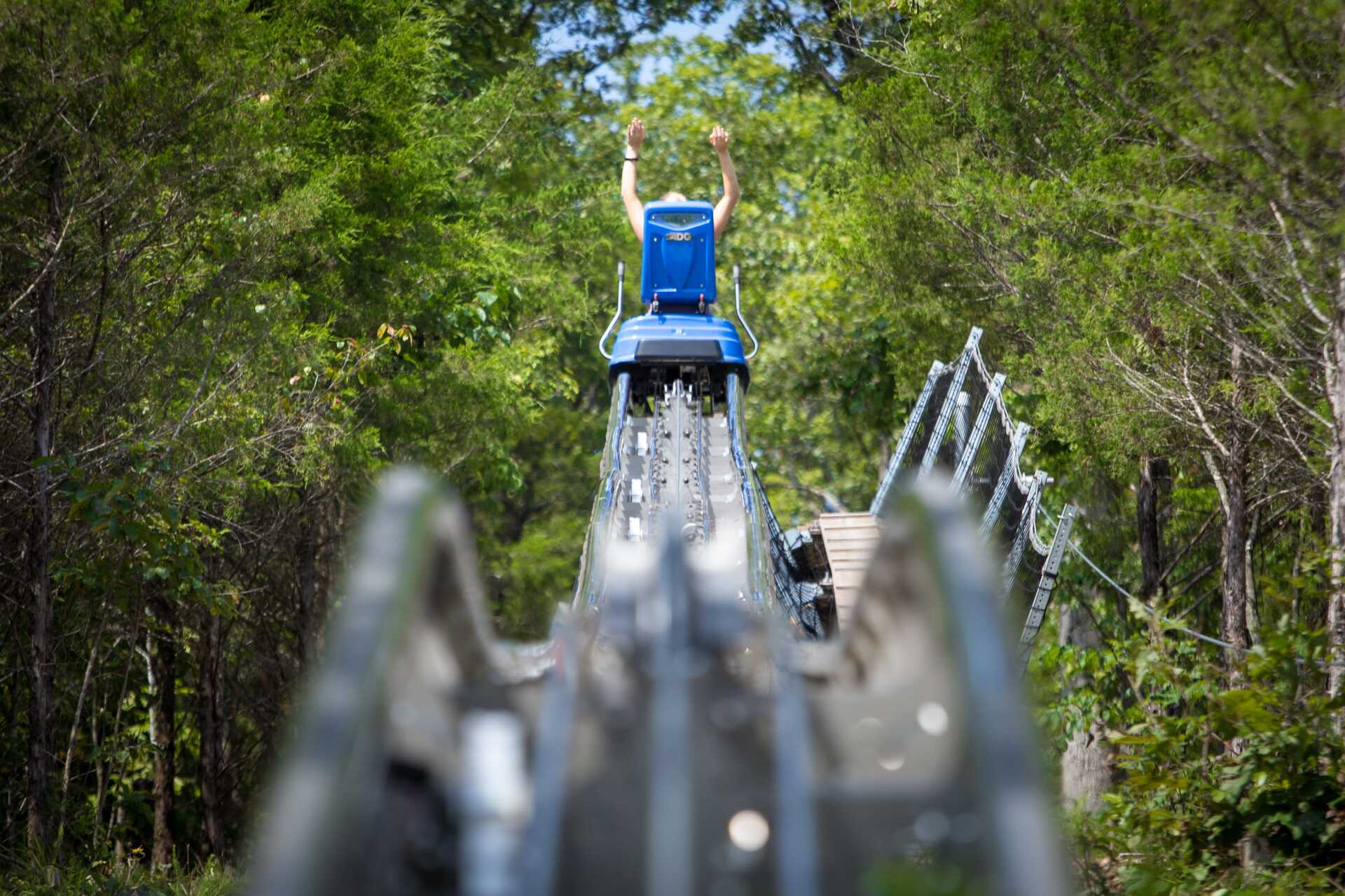 a person riding on an alpine coaster