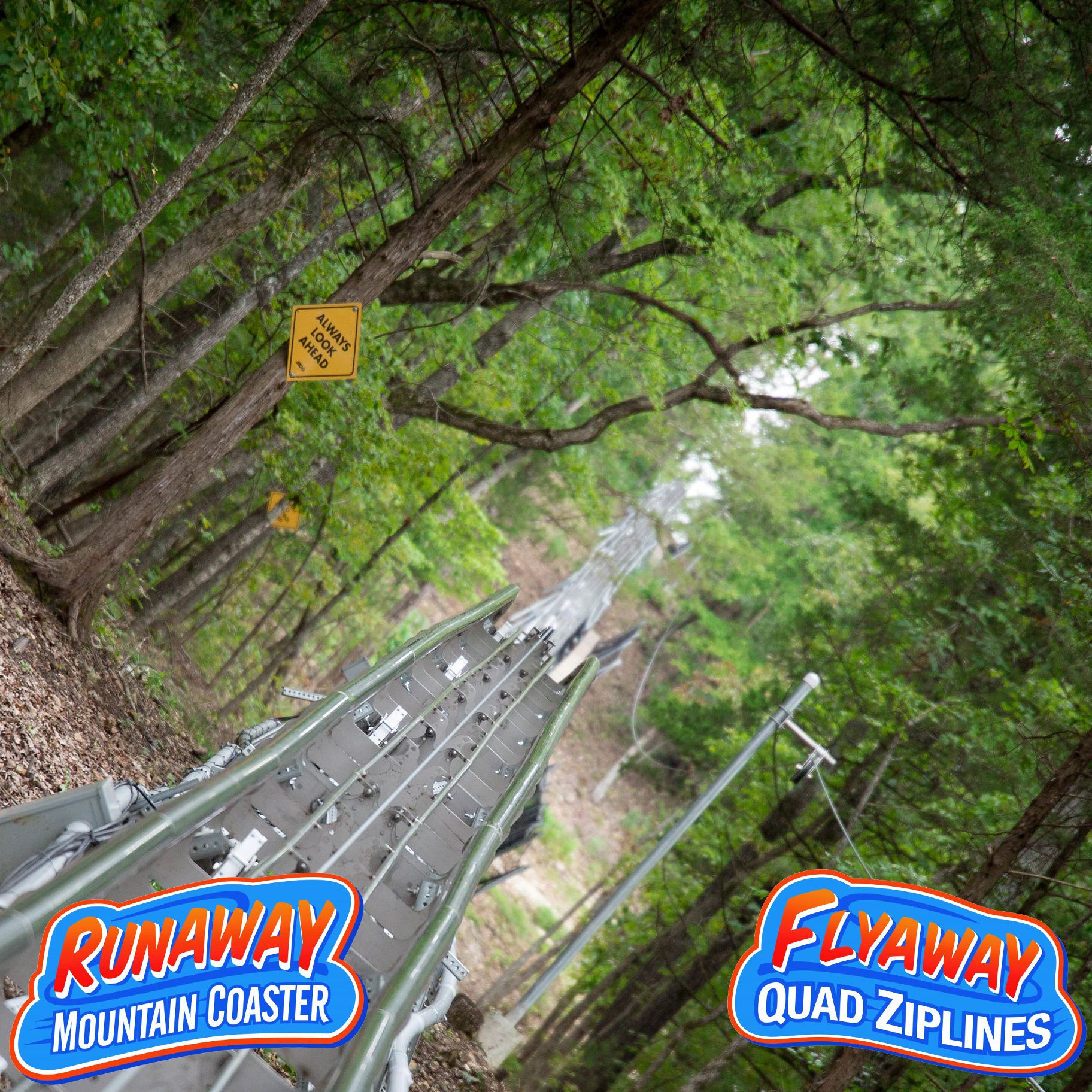 Mountain coaster track winding through dense forest with caution signs