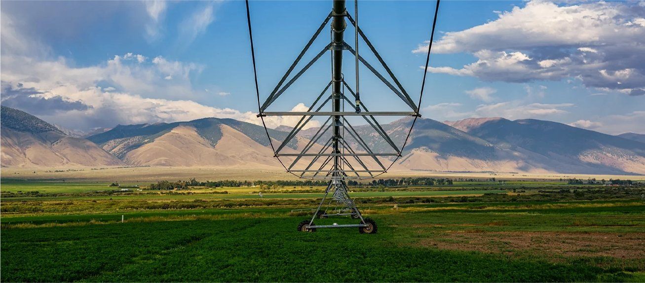 Sustainable agriculture near Queensland