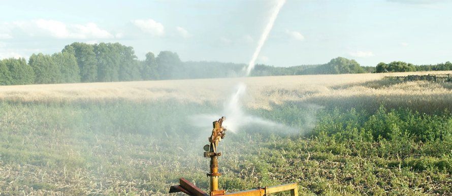 Water efficient farming, Queensland