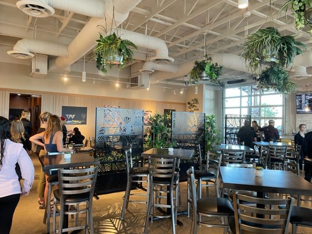 A restaurant with tables and chairs and plants hanging from the ceiling.