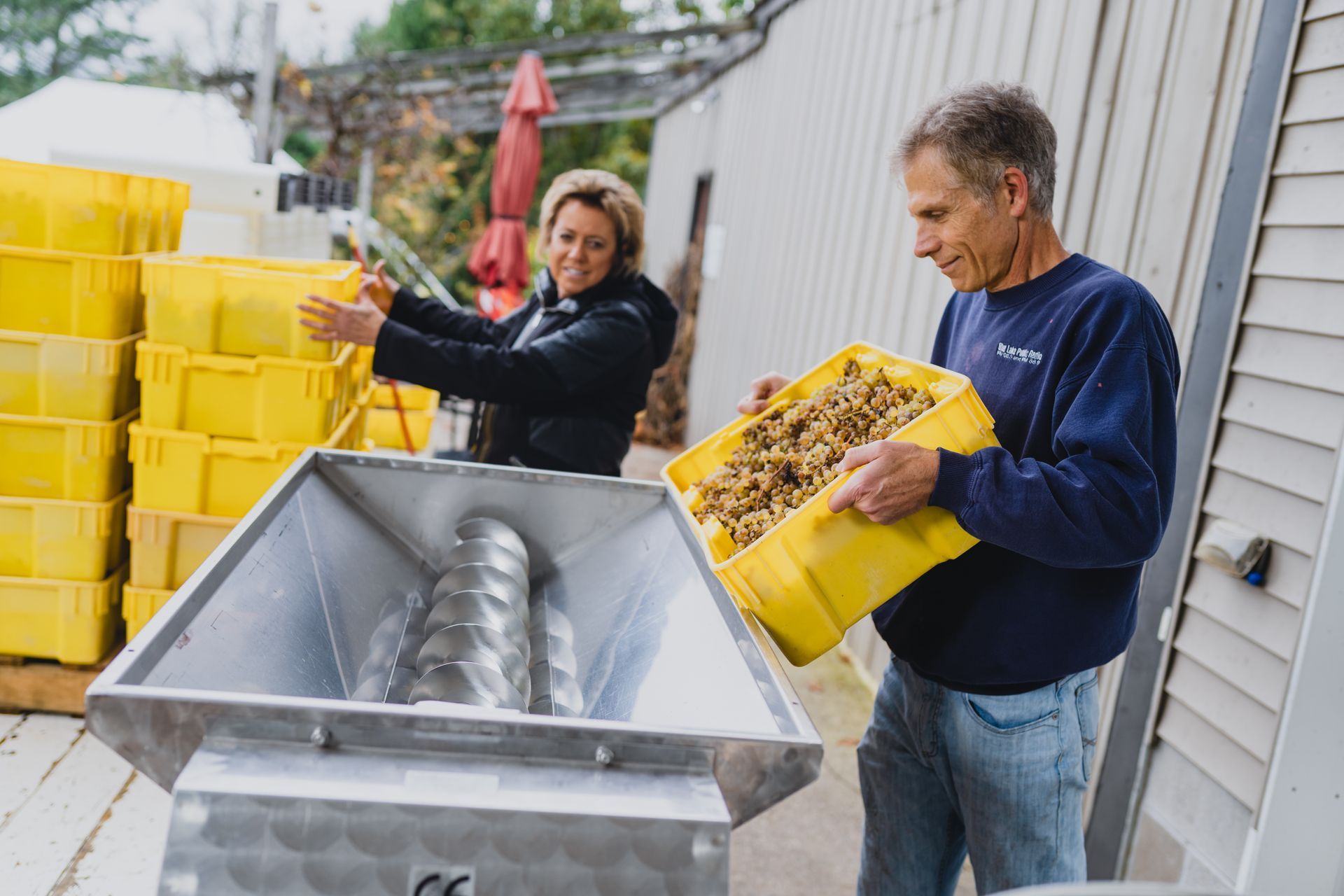 a man is pouring a yellow bucket of grapes into a machine .