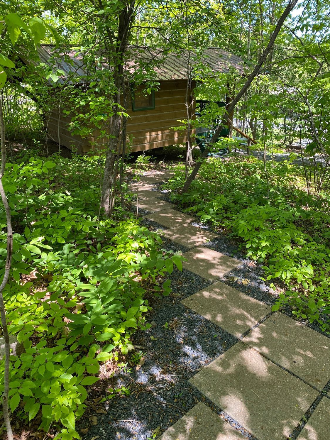 Pathway leading to a wooden building, surrounded by greenery.