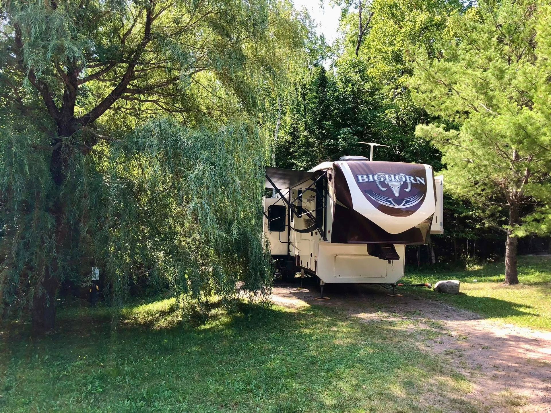 RV parked in a campsite, surrounded by trees. Awning is extended.