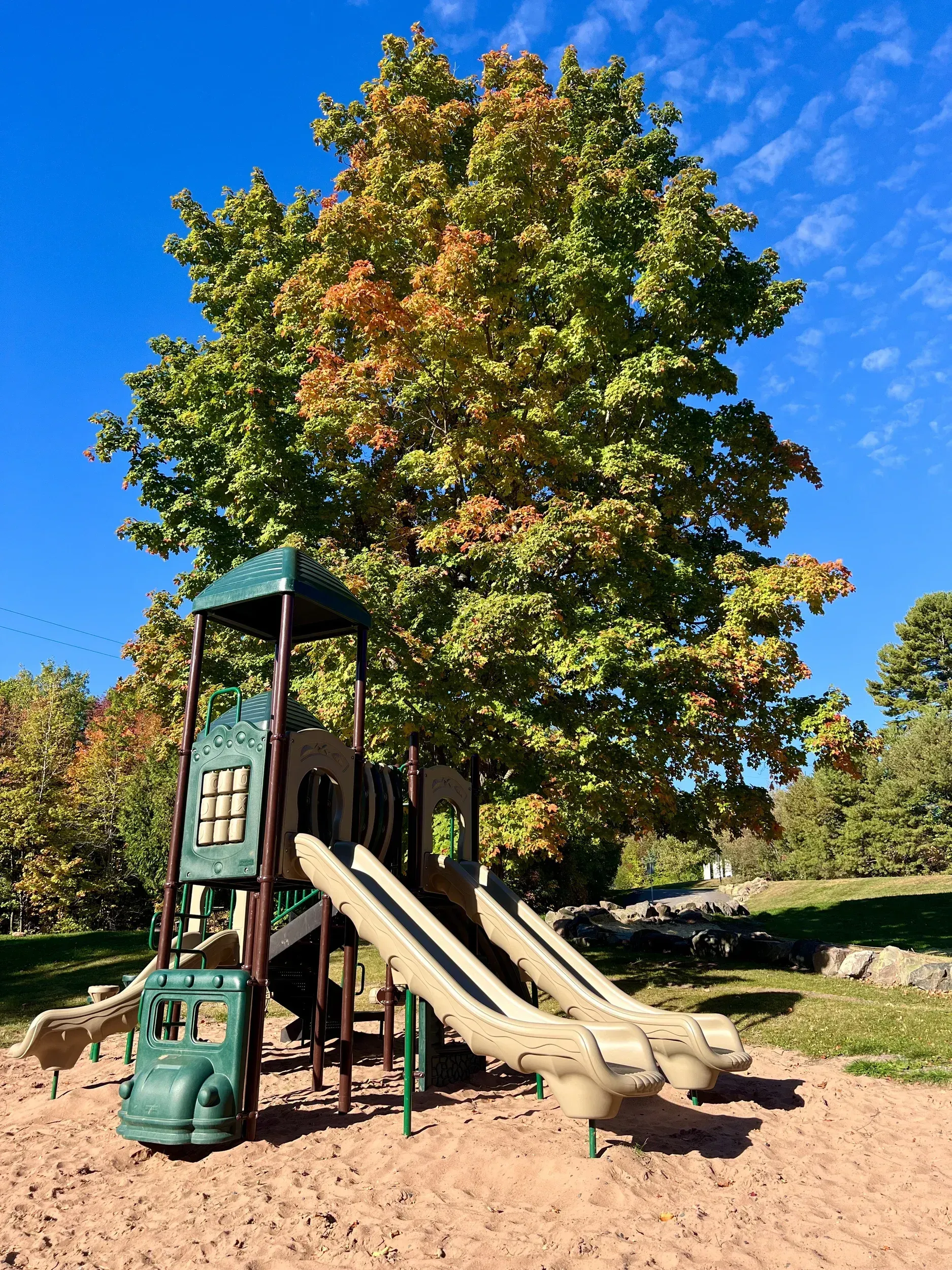 Playground with two slides, set in sand, under a tree with green and orange leaves, against a blue sky.