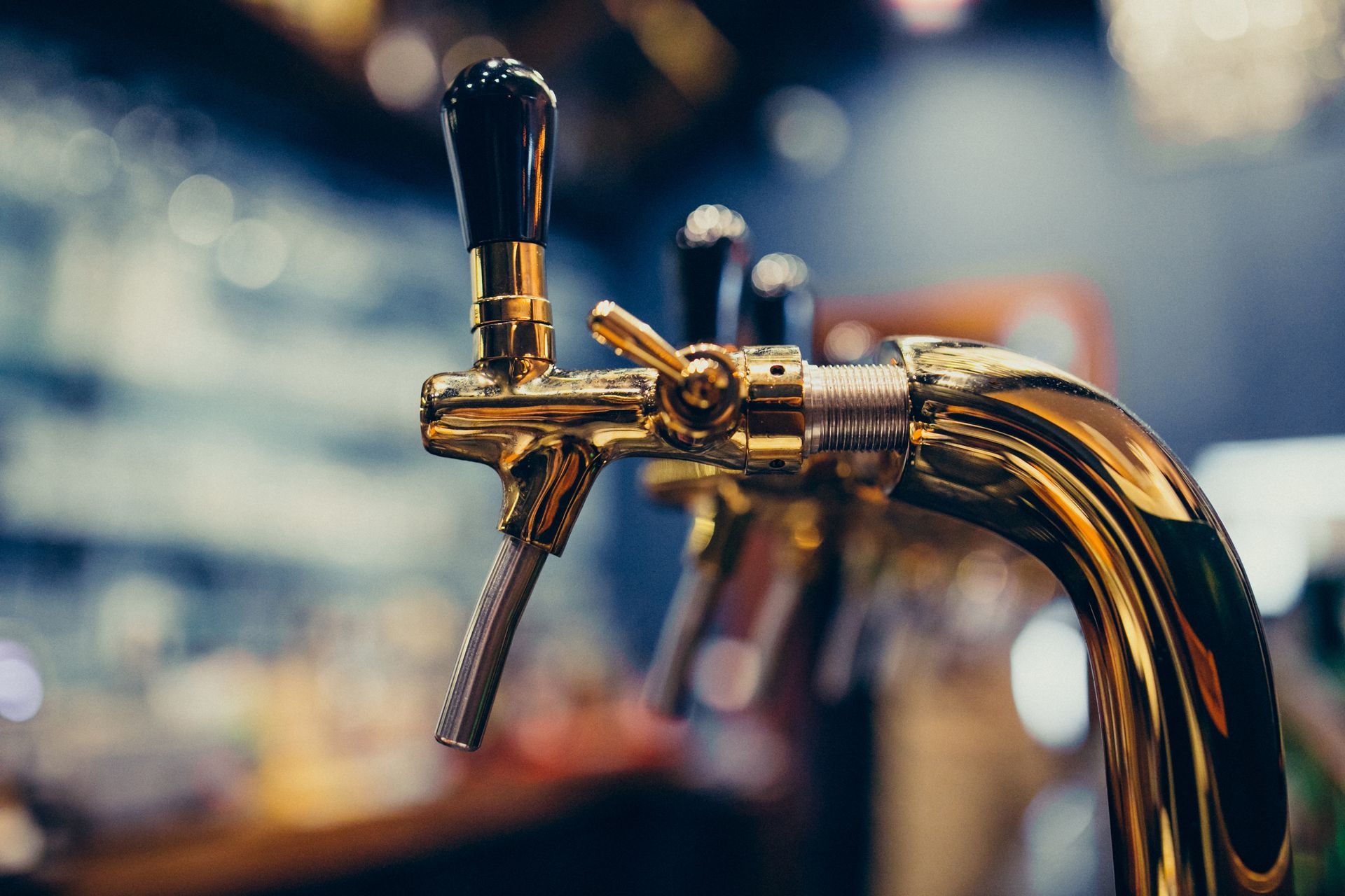 A row of glasses filled with beers of varying colors—ranging from dark brown to light gold—sitting on a wooden bar top.