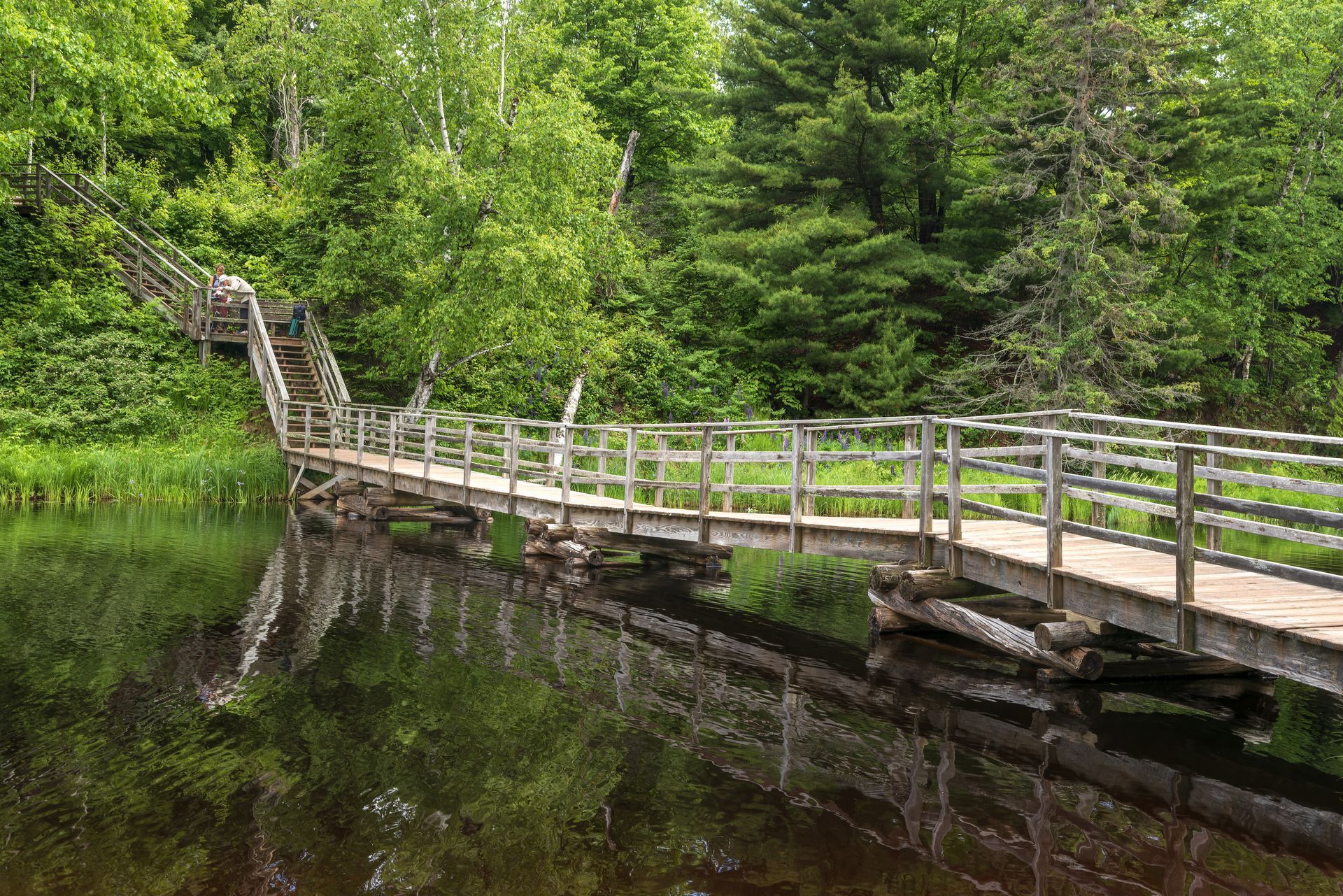 Wooden footbridge over calm water, leading into a green forest.