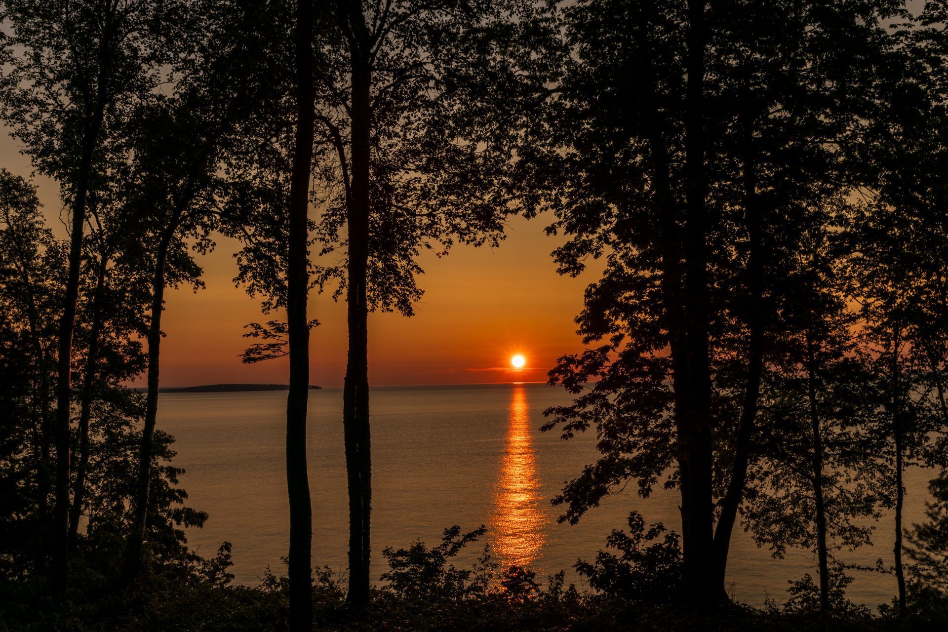 Sunset over water, viewed through silhouetted trees. Orange sky reflects on the water.