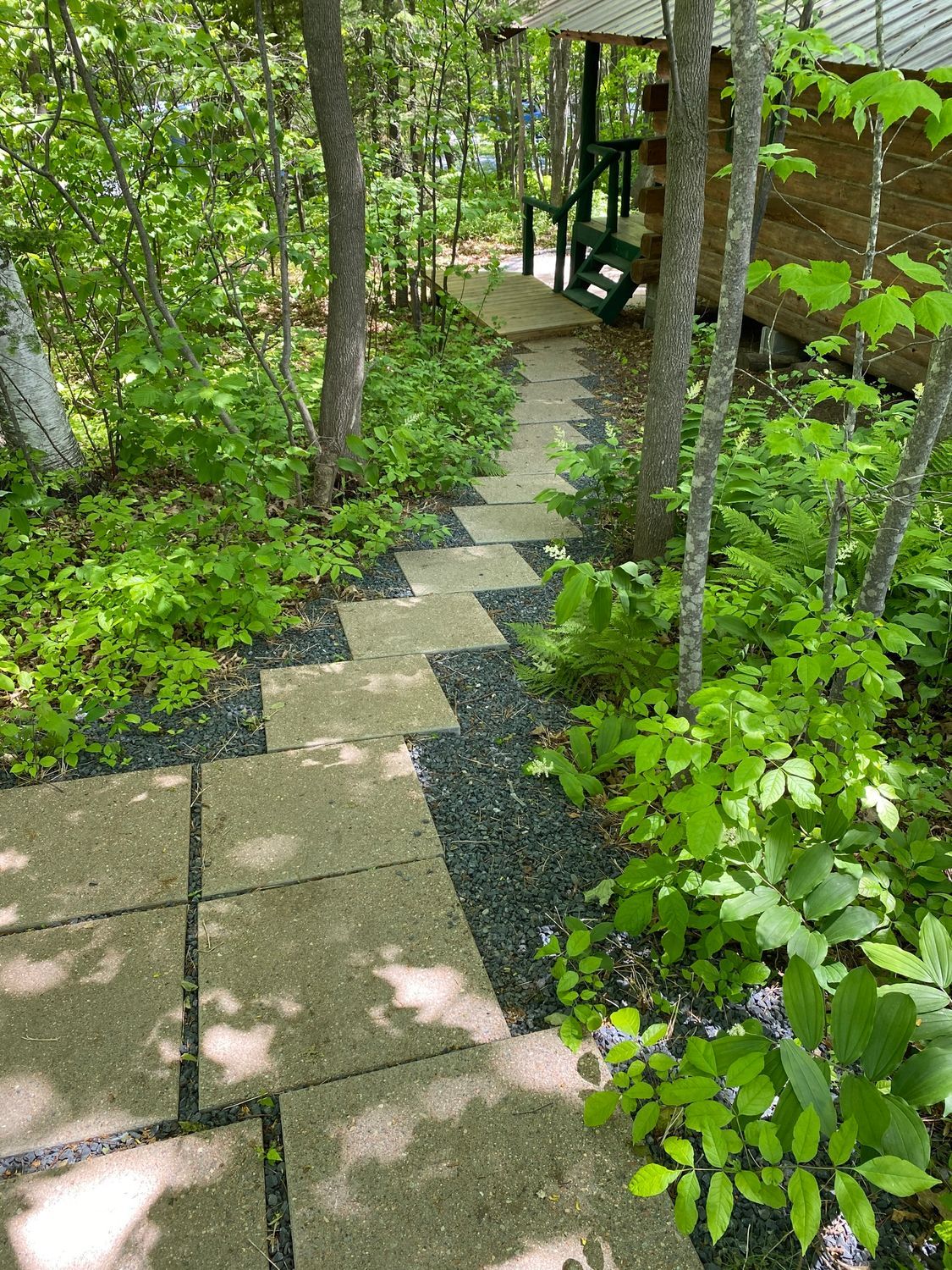 Stone path through lush green forest, leading to a wooden structure.