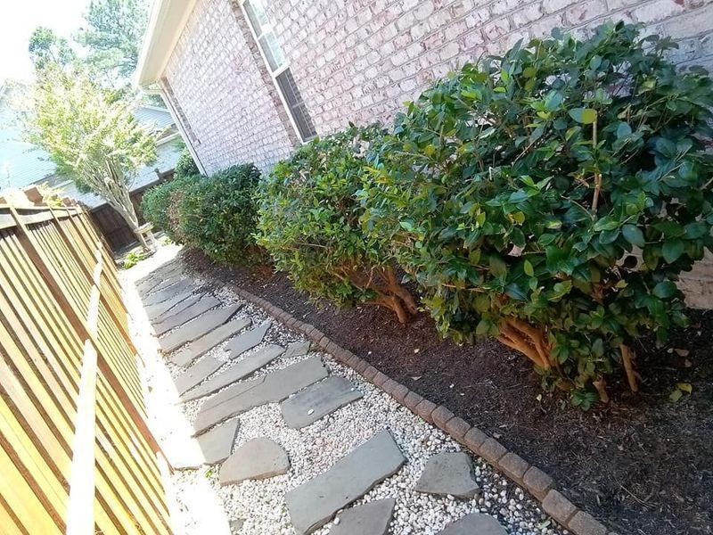 Stone garden path beside a brick wall and dense hedge in a narrow outdoor alley